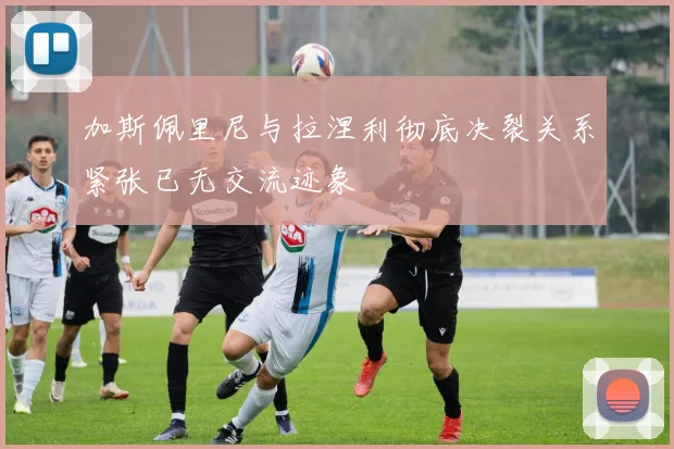 加斯佩里尼与拉涅利彻底决裂关系紧张已无交流迹象